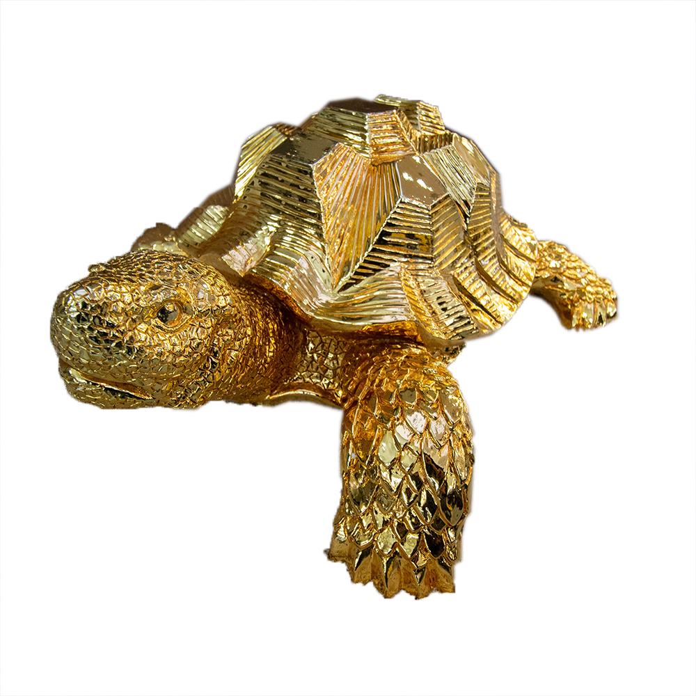 Schildpad - goud